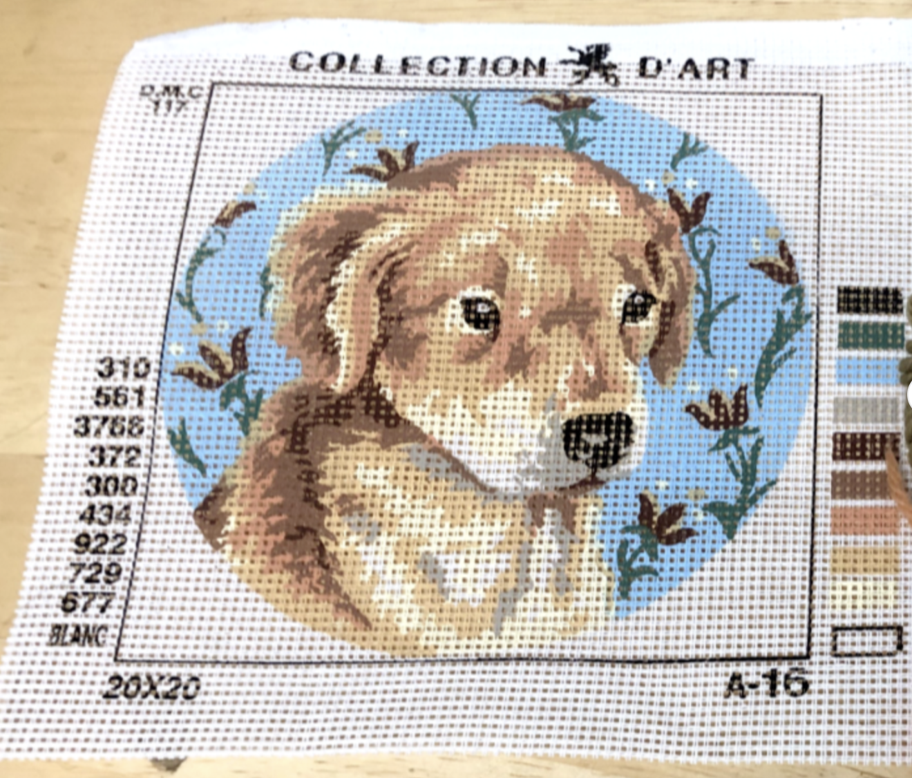 Collezione D'Arte Kit Ricamo A Punto Croce Cane E Papaveri, 50x45cm, Tela Sudan Stampata 100% Cotone, Fili Acrilici E Ago Inclusi, Design 40x40cm